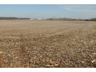 Tract 8 - LAND AUCTION - 217+/- ACRES IN 8 TRACTS IN CLINTON COUNTY, INDIANA